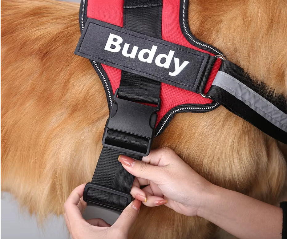 Personalized Dog Harness