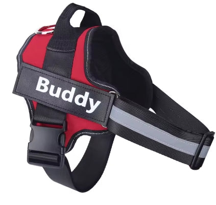 Personalized Dog Harness