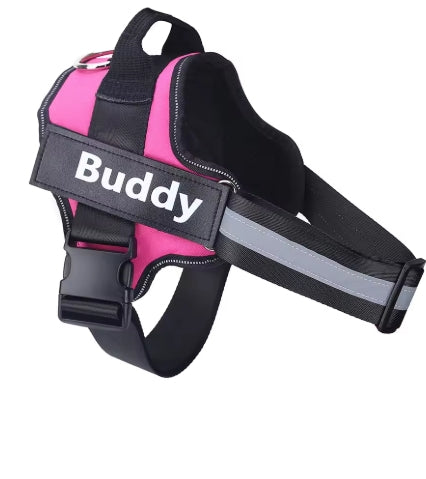 Personalized Dog Harness