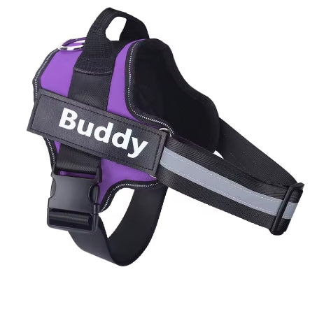 Personalized Dog Harness