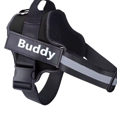 Personalized Dog Harness