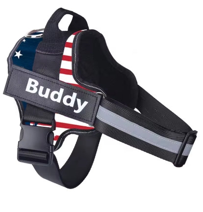 Personalized Dog Harness