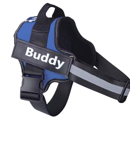 Personalized Dog Harness