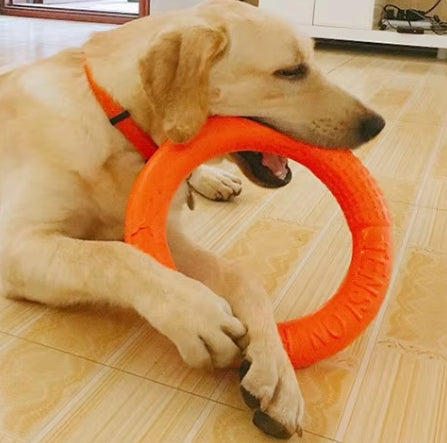 Dog Ring Toys