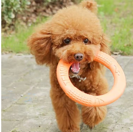 Dog Ring Toys