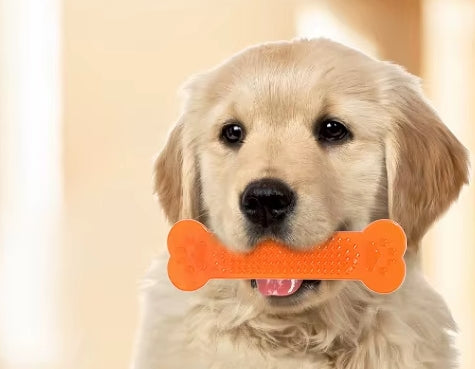 Pet Dog Chew Toys