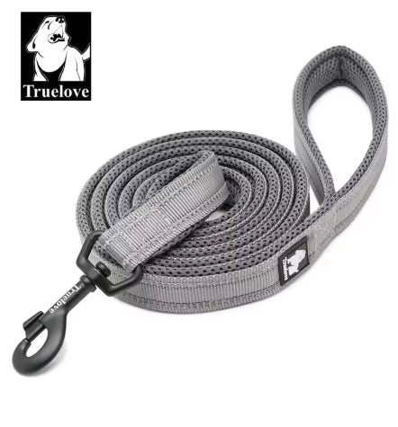 Reflective Nylon Mesh Padded Puppy Large Dog or Cat Leash