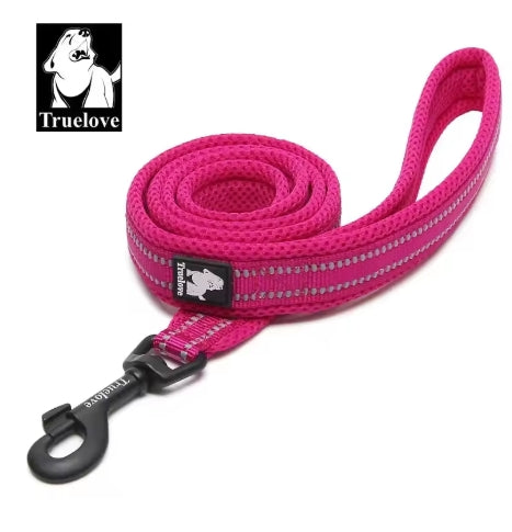 Reflective Nylon Mesh Padded Puppy Large Dog or Cat Leash