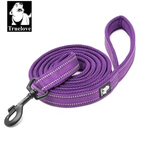 Reflective Nylon Mesh Padded Puppy Large Dog or Cat Leash