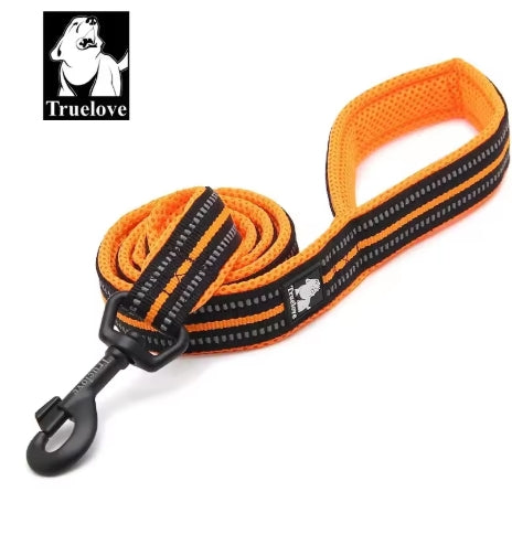 Reflective Nylon Mesh Padded Puppy Large Dog or Cat Leash