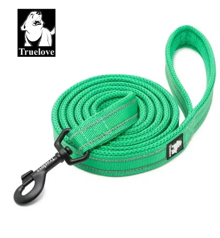 Reflective Nylon Mesh Padded Puppy Large Dog or Cat Leash