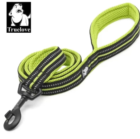 Reflective Nylon Mesh Padded Puppy Large Dog or Cat Leash