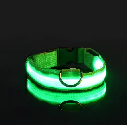 LED Night Safety Flashing Glow In The Dark Pet Leash