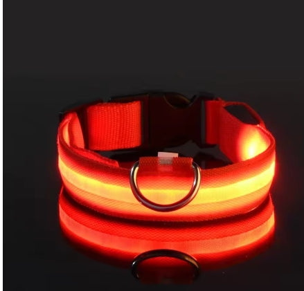 LED Night Safety Flashing Glow In The Dark Pet Leash