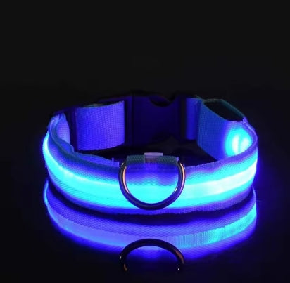 LED Night Safety Flashing Glow In The Dark Pet Leash