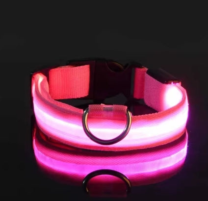 LED Night Safety Flashing Glow In The Dark Pet Leash