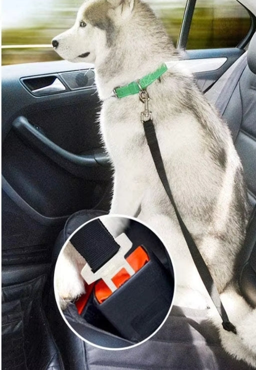 Adjustable Pet Cat Dog Car Seat Belt