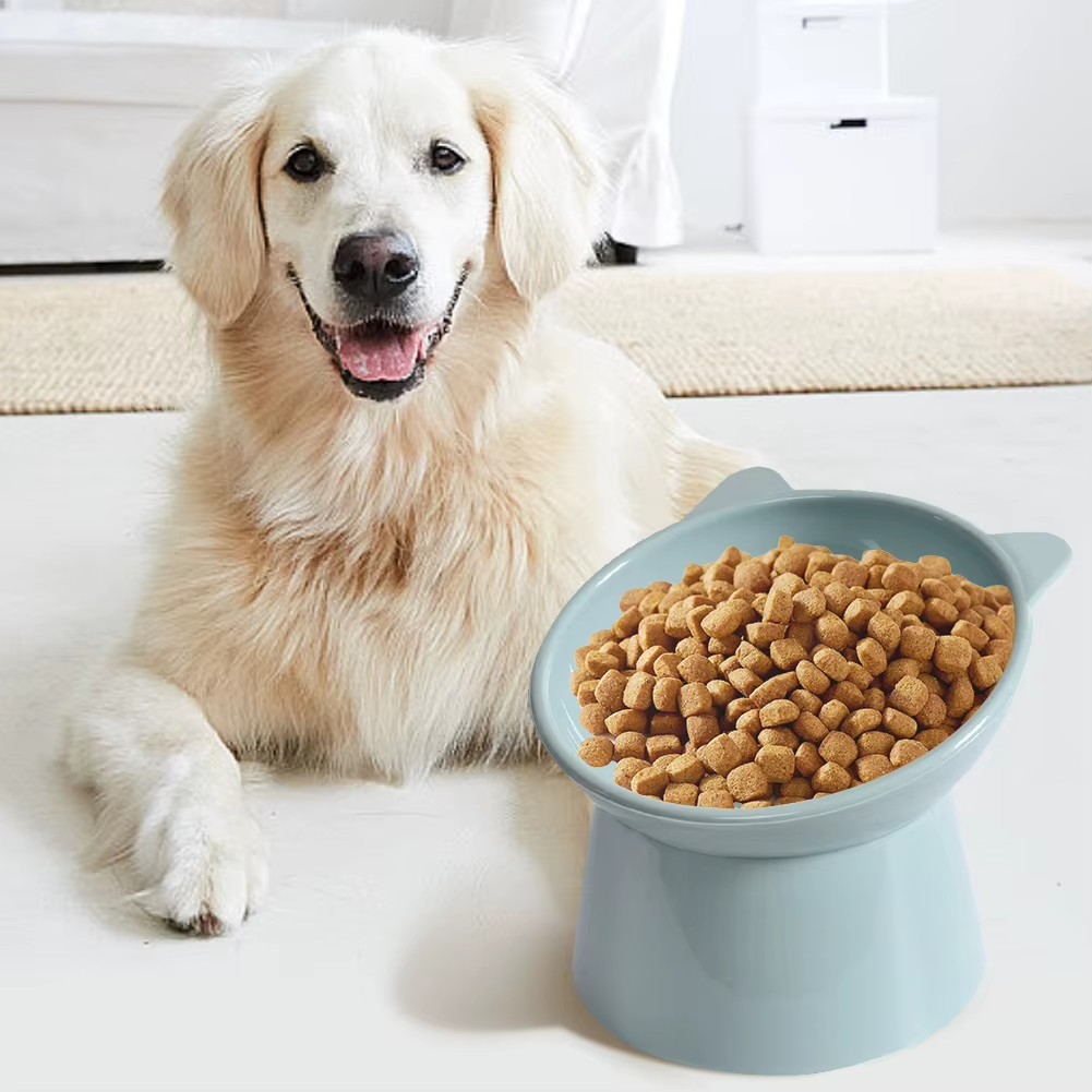 Raised Pet Food Bowls