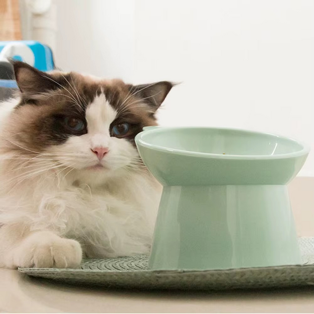 Raised Pet Food Bowls